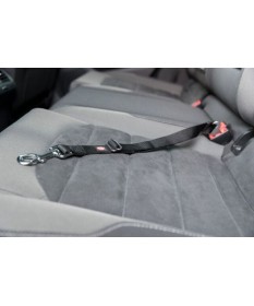 Trixie Cintura per automobile per cani S/M  2