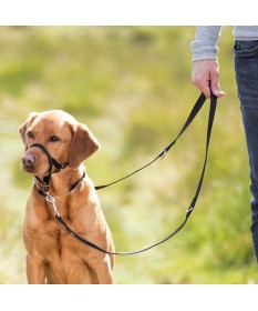 Trixie Pettorina Top Trainer M