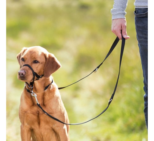 Trixie Pettorina Top Trainer M