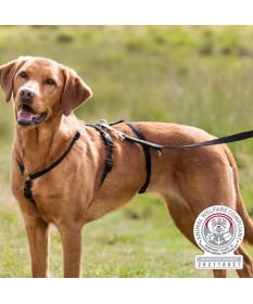 Trixie Pettorina antipanico Stay M/L