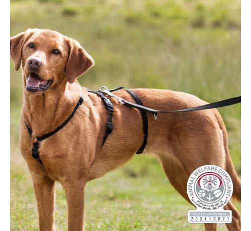 Trixie Pettorina antipanico Stay M/L