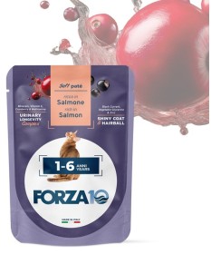 Forza10 Patè per Gatti Adulti bst da 80 gr