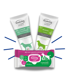 Inodorina Kit alla Clorexidina - Shampoo, Balsamo e Salviette per Cani e Gatti