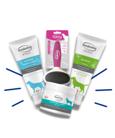 Inodorina Kit Manti Lunghi - Shampoo, Balsamo, Cardatore M e Maschera Manto per Cani e Gatti 