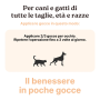 Longevity Pet Gocce Oculari per Cani e Gatti da 5 ml