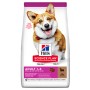Hill's Science Plan cane Small & Miniature Adult 1 to 6 con Agnello