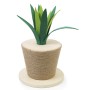 LeoPet Tiragraffi Agave 30x30x40 cm  LeoPet Tiragraffi Agave 30x30x40 cm