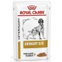 Royal Canin Urinary S/O per Cani in Busta da 100 gr