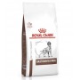 Royal Canin Veterinary Diet Gastro Intestinal per Cane