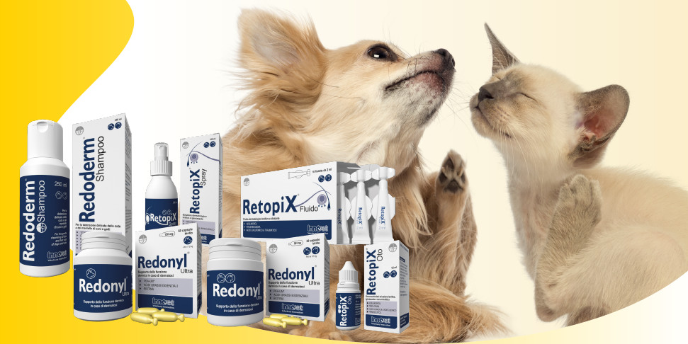 Il prurito di cani e gatti: un'infinità di motivi per grattarsi