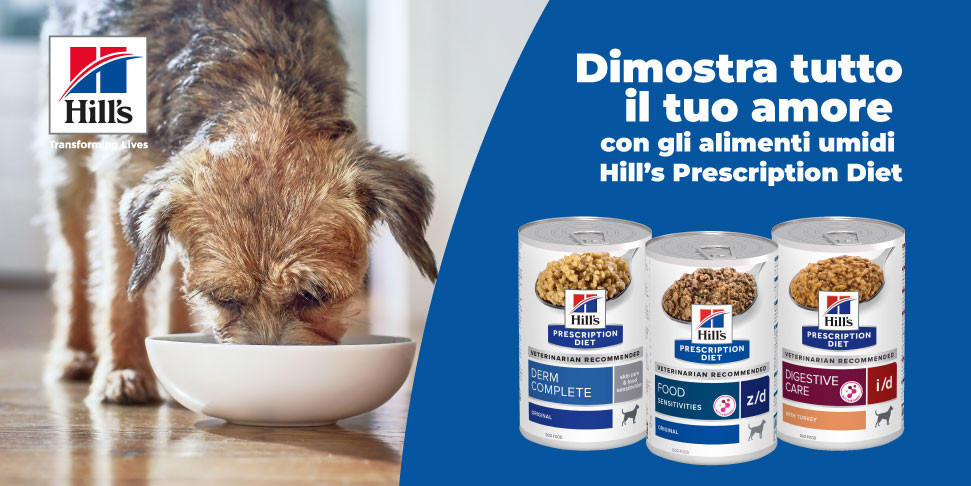 L’importanza dell’alimento umido per cani e gatti