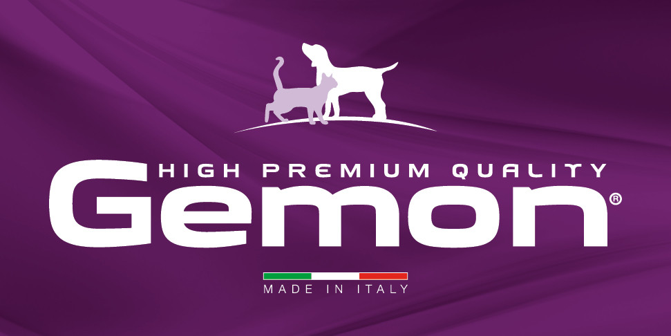 L’importanza di offrire al tuo gatto un’alimentazione equilibrata con il cibo secco