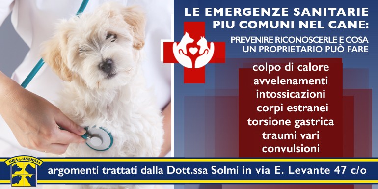 La cristalloterapia per animali