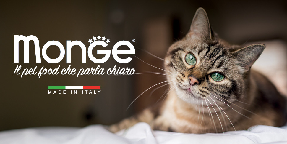 Monge Natural Superpremium: una linea per ogni esigenza del tuo cane