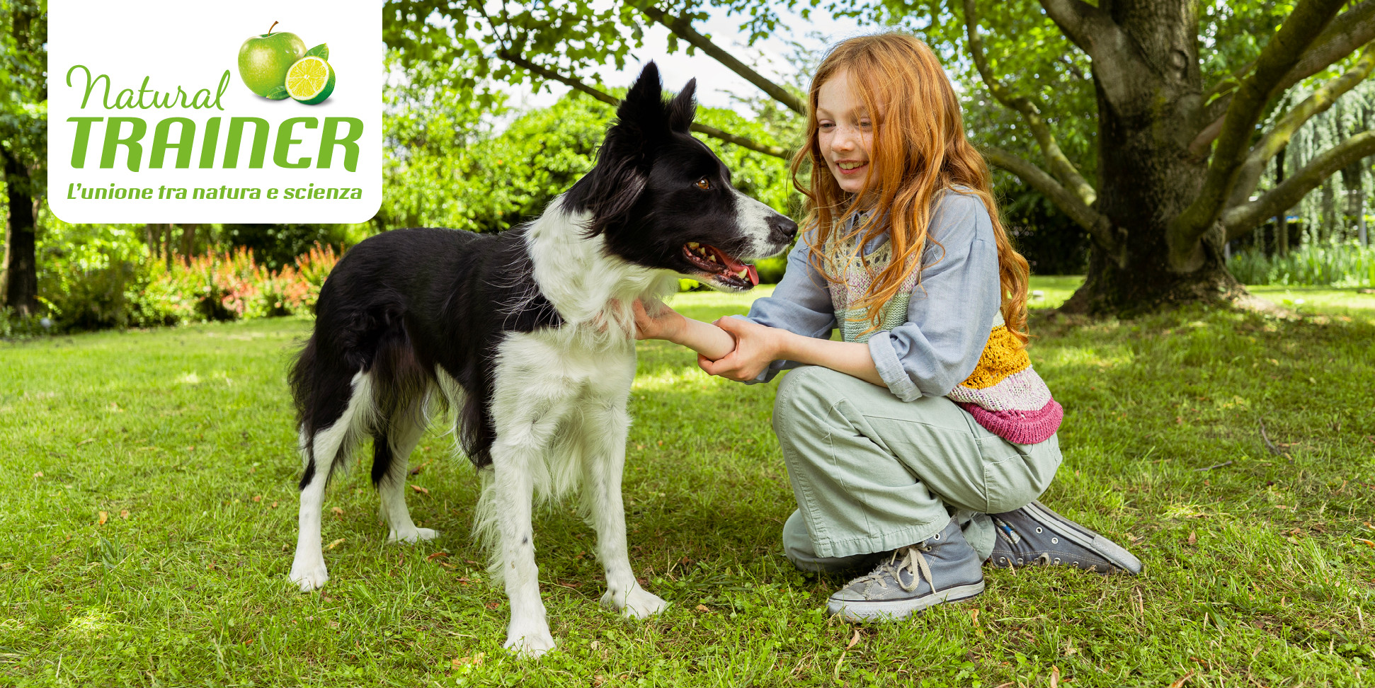 "Popo’s Dry: La Soluzione Biodegradabile per Deiezioni Canine Liquide e Solide"