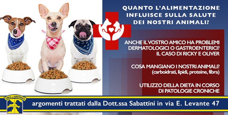 Cani in Acqua!