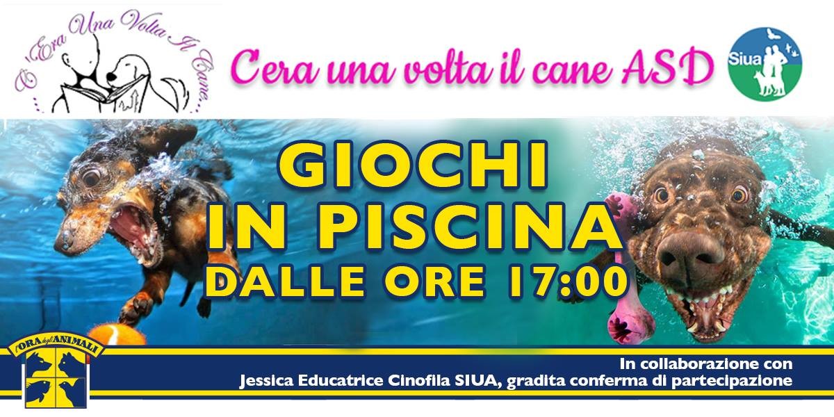 Sei un Cane Modello? Iscriviti alla Fashion Dog 2018