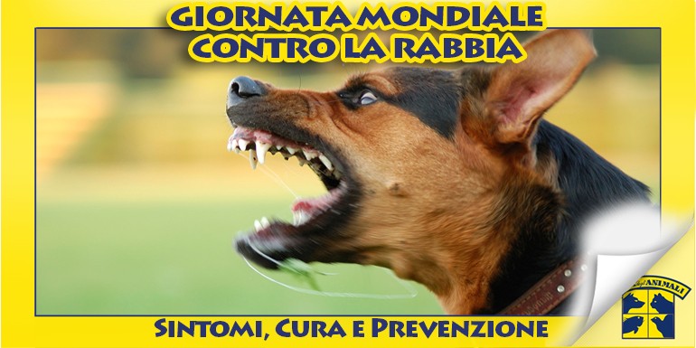 Il Gatto - Comportamenti e i suoi perché