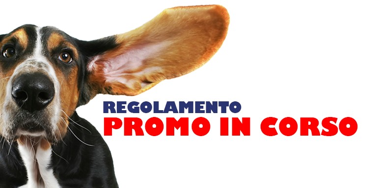 Quel Vecchione del mio Cane
