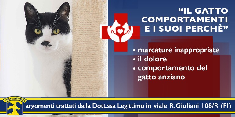 E io ti Fotografo - Concorso Fotografico III Edizione