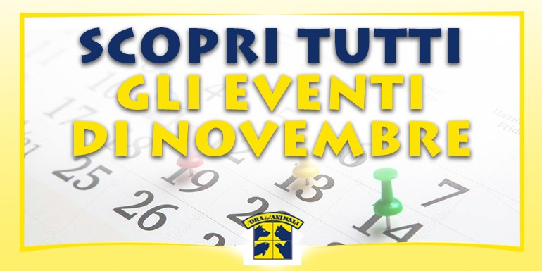 Calendario eventi Dicembre