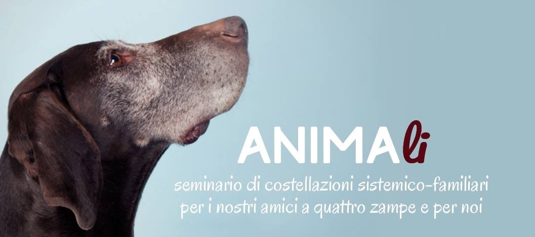 Come affrontare un Natale sereno 