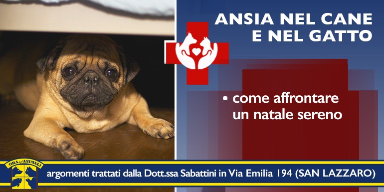 RACCOLTA DI BENEFICENZA