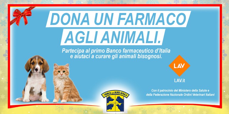 Il mondo olfattivo del cane – 9 febbraio ad Anzola dell’Emilia (BO)