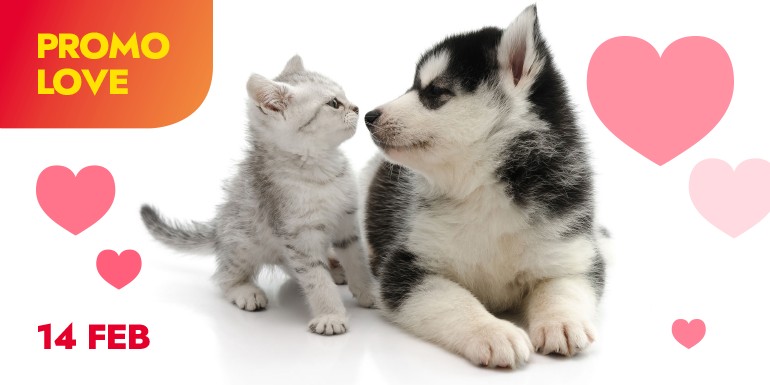 Io & Marley: il libro che farà sembrare il tuo cucciolo un damerino!