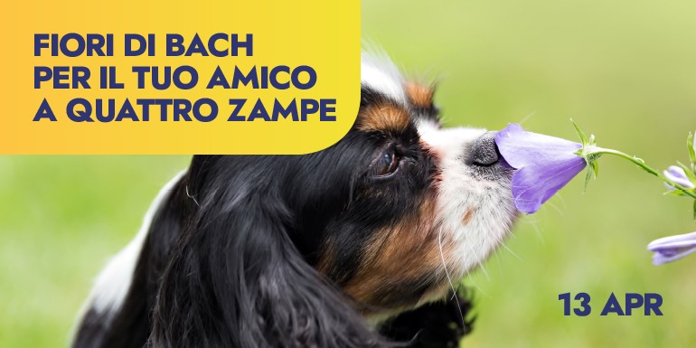 Pet Village @ Giardini & Terrazzi 2019 | Bologna 10-11-12 maggio | Programma completo