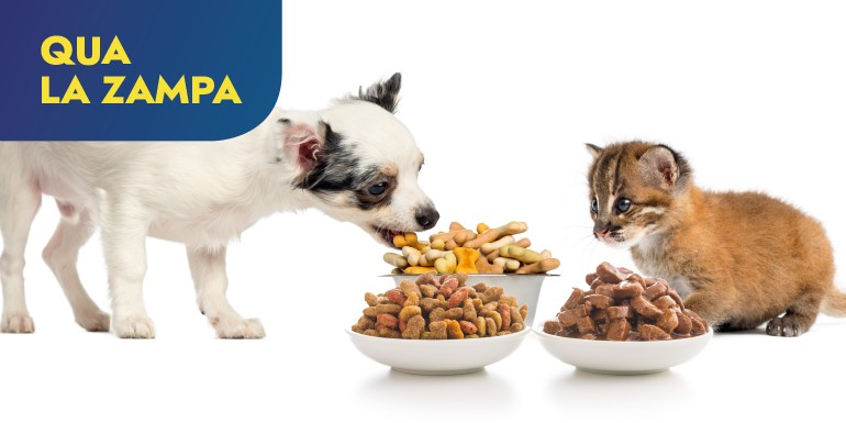 Prenditi cura del tuo cucciolo e vinci 1 anno di Royal Canin!