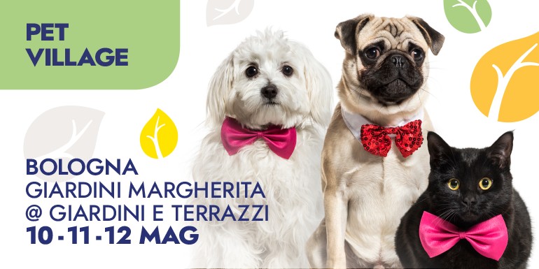 Evento gratuito con attività olfattive per il tuo cane – 18 maggio Anzola dell’Emilia