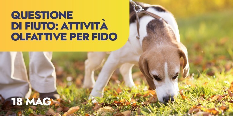 L’Ora del Libro: Woody, la favola moderna sulla differenza tra bene e male