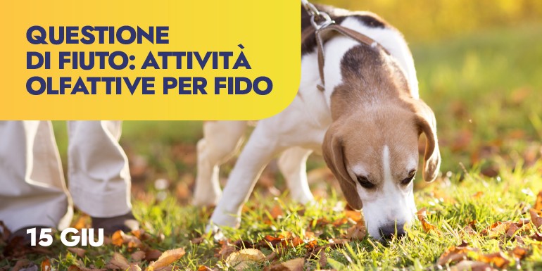 Speciale osteoartrite: New Flexadin® Advanced per il tuo cane