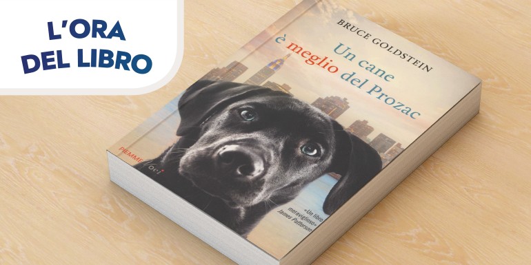 Pet Village @ Giardini & Terrazzi 2019 | Bologna 13-14-15 settembre | Programma completo