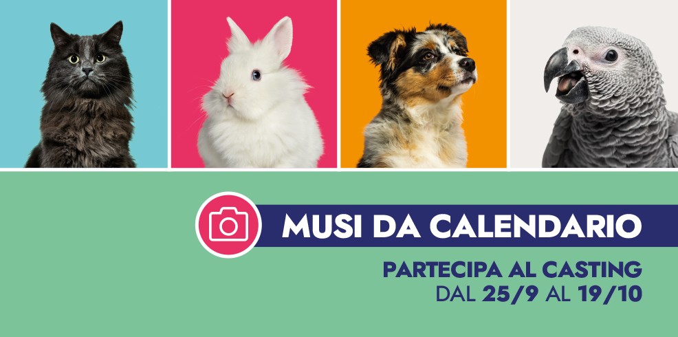 L’Ora del libro: Avevo solo una manciata di stelle. La storia vera del cane Ruby
