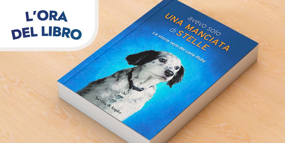 L’Ora del libro: Il gatto che aggiustava i cuori